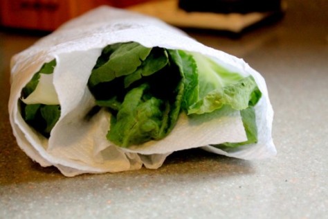 lettuce-inpaper-towel-537x358