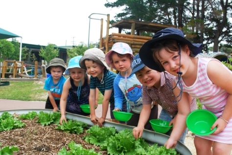 تشجيع الأطفال على الزراعة … تعالوا نزرع حديقة بيتزا